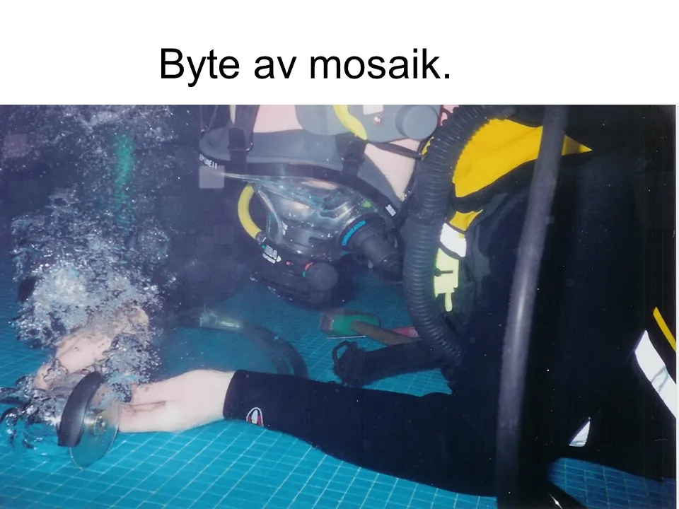 Projektbild