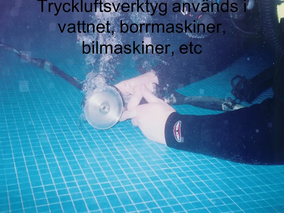 Projektbild